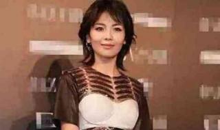 黛安芬哺乳文胸 黛安芬哺乳文胸